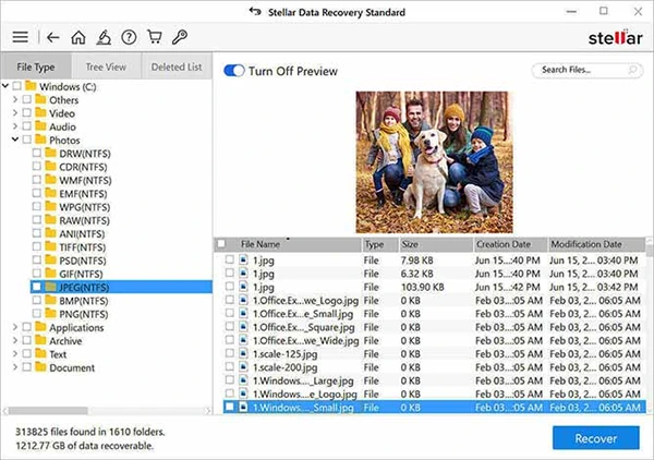 Preview the recoverable fil