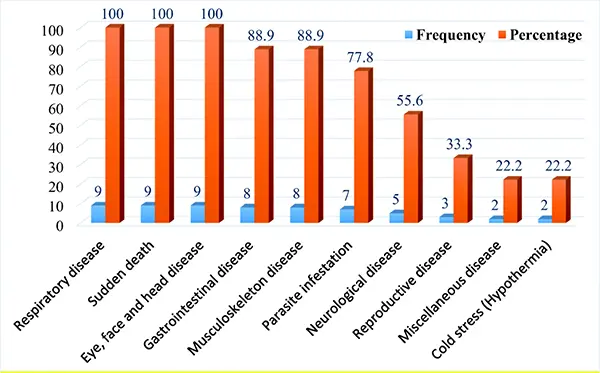 Frequency and Percentage of Diseases in Chickens