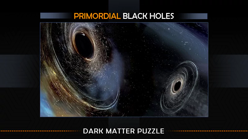 primordial black holes