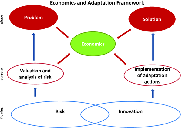 Economic and adaption framework