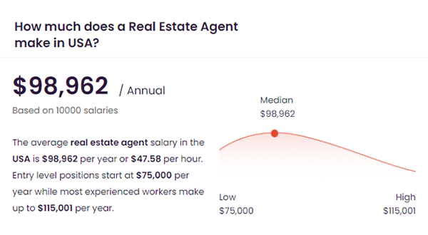 Real Estate agent