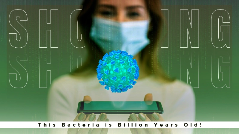 shocking bacteria