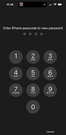 Enter the iPhone Passcode