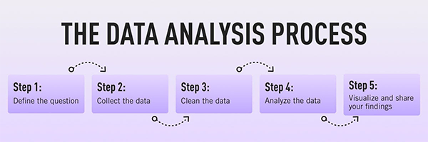 The data analysis process