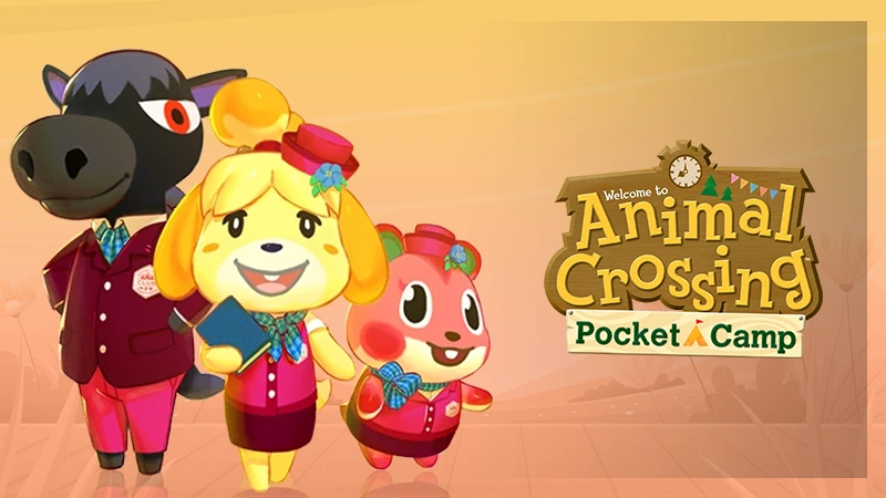 pocket camp